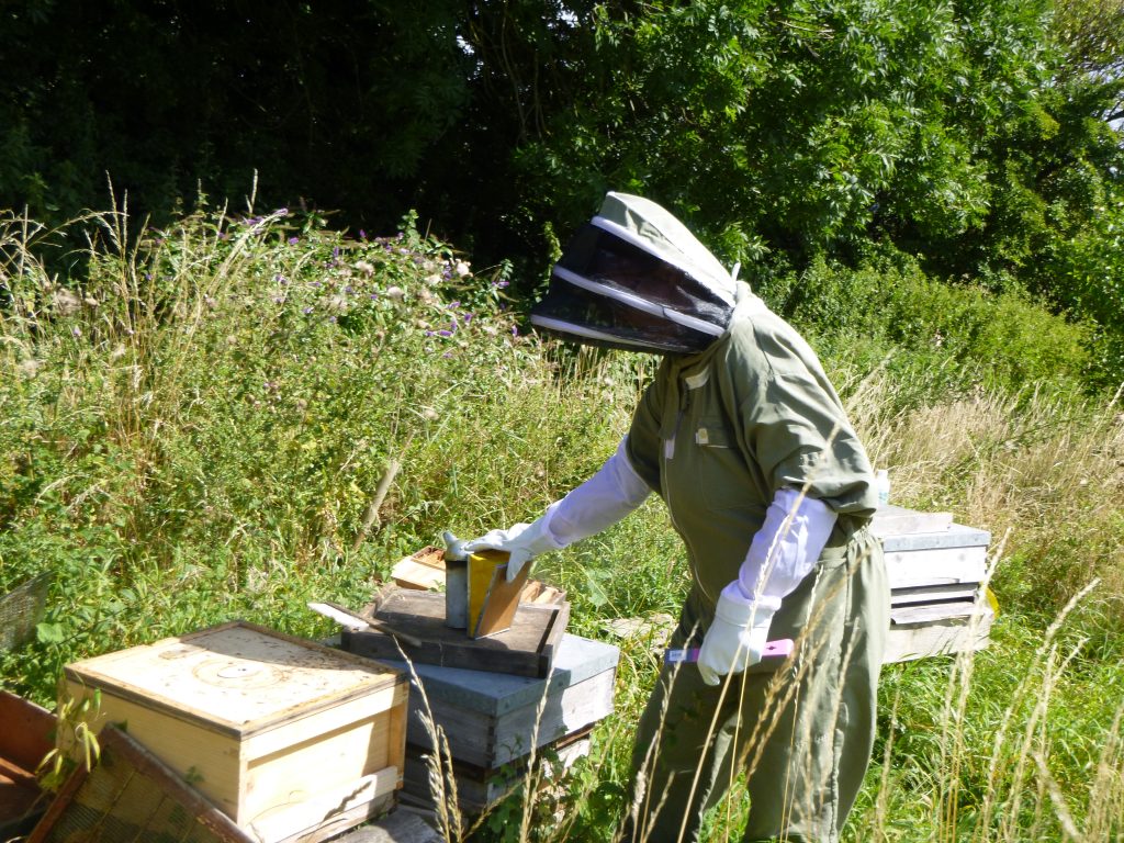 Seasonal beekeeping in the apiary