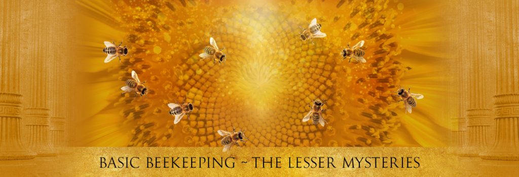 Basic Beekeeping - The Lesser Mysteries