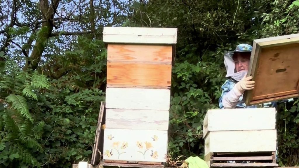Beekeeping courses with Angie Twydall at the Bee Temple